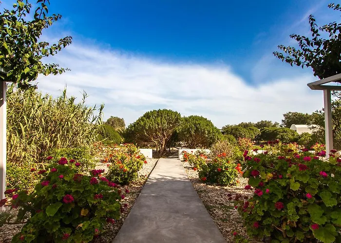 Sea Sound White Katikies