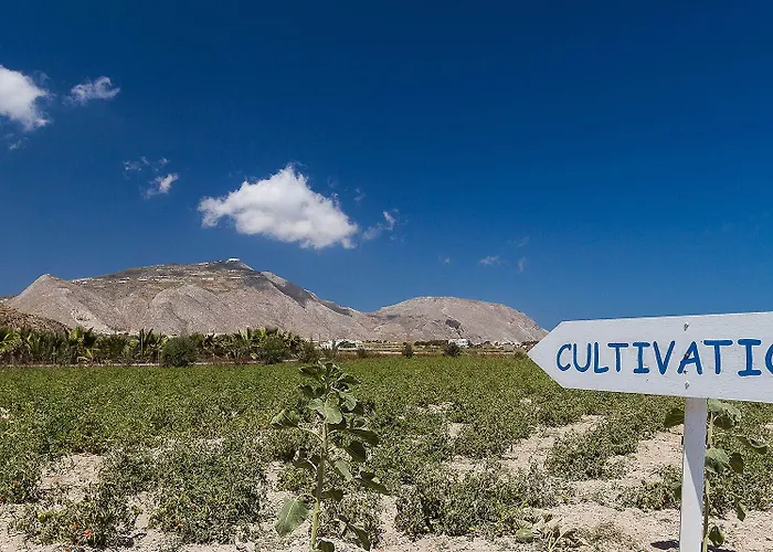 Sea Sound White Katikies 4* Exomitis (Santorini)