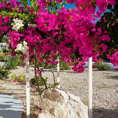 Aparthotel Sea Sound White Katikies Exomitis (Santorini)