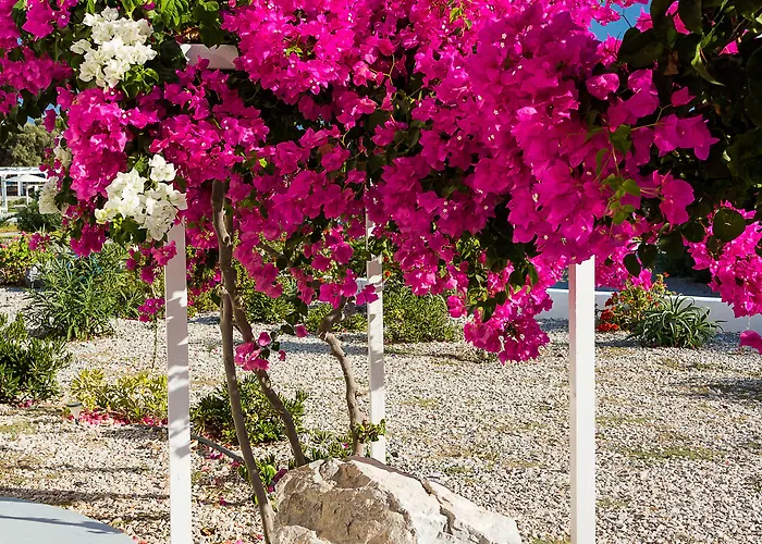 Apart-hotel Sea Sound White Katikies Exomitis (Santorini)