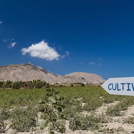 Sea Sound White Katikies 4* Exomitis (Santorini)